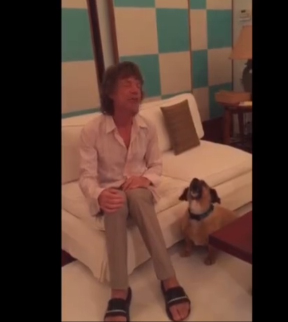  Cachorrinho de Mick Jagger faz sucesso cantando com astro do rock; assista