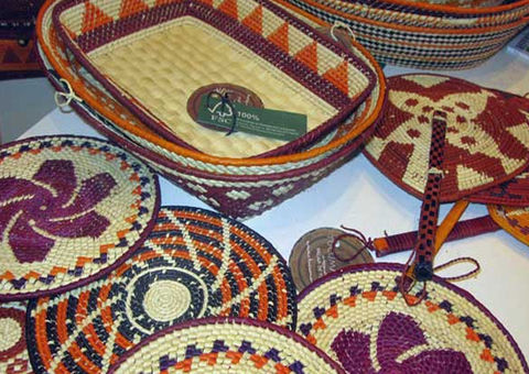 Amazônia chama atenção em evento no Rio