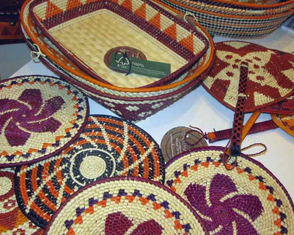 Amazônia chama atenção em evento no Rio