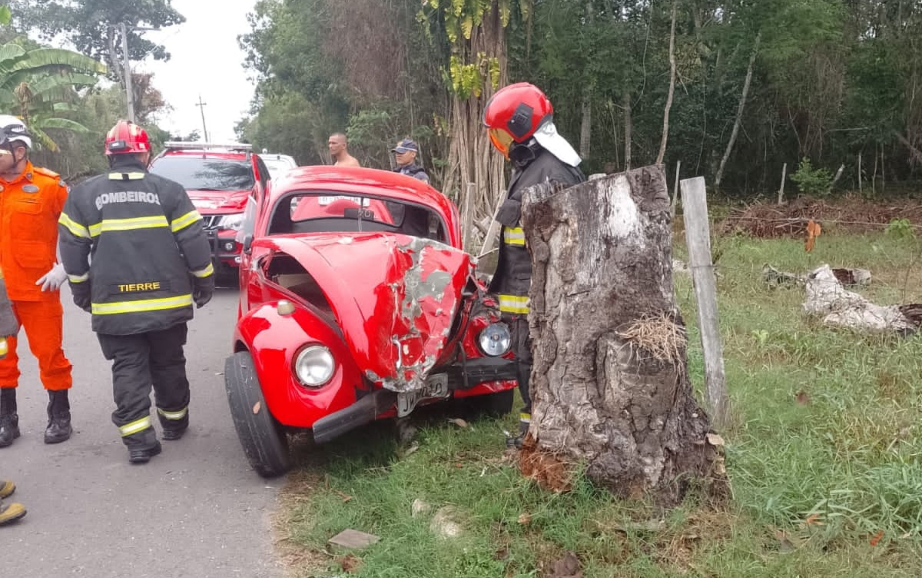 Idoso morre após bater carro contra árvore em grave acidente no Amazonas