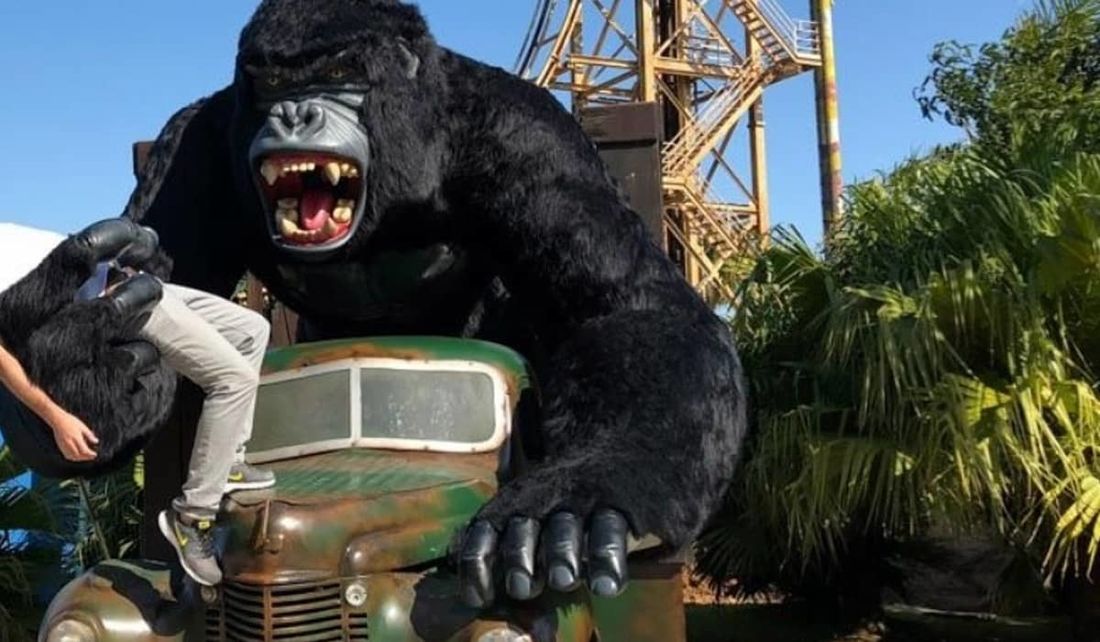 Menino que caiu de gorila no Beto Carrero está respirando por aparelhos