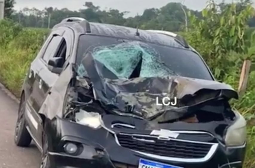 Estrada de Novo Remanso registra novo acidente com búfalo solto na pista