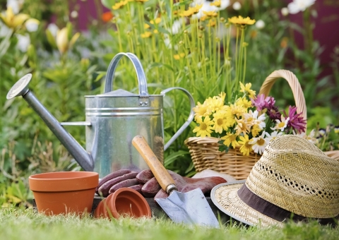 Minicurso de jardinagem e paisagismo realiza aula prática  