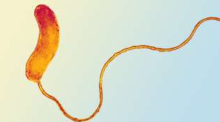 Superbactéria causa pânico em UTI após ser encontrada em paciente de hospital 