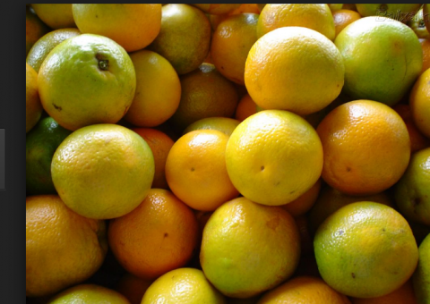 Laranja é o alimento com maior risco de contaminação por agrotóxico, diz Anvisa