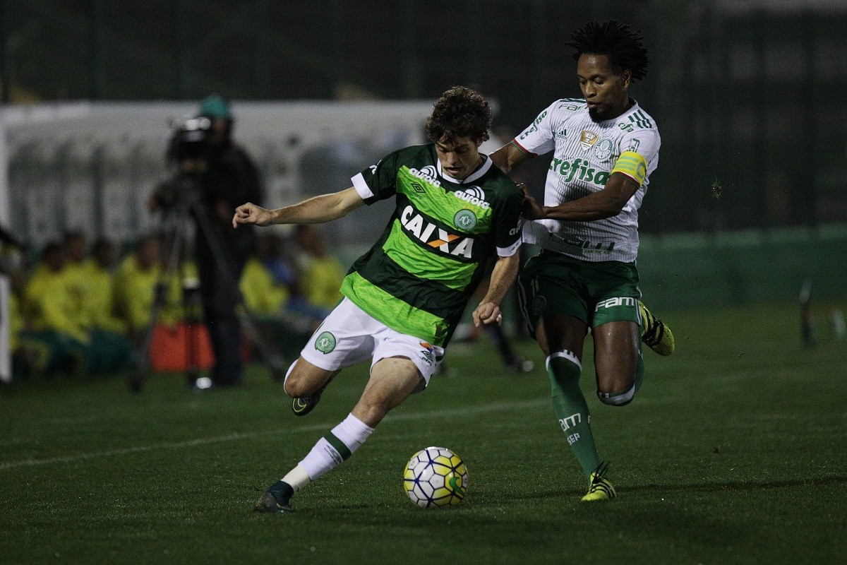 Se ganhar, Palmeiras terá festa histórica