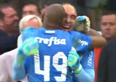 Palmeiras é campeão brasileiro 2016