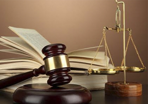 Conselho oferece opções de rendas para profissionais de diversas áreas de atuação