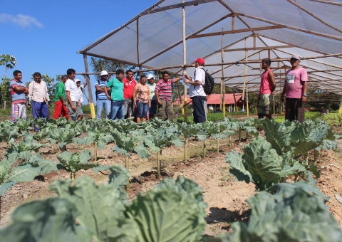 Extensão Rural completa 50 anos no Amazonas 