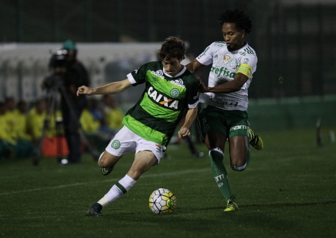 Palmeiras pede para jogar com camisa da Chapecoense em homenagem ao clube