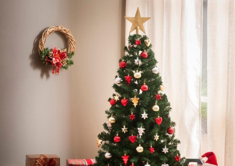 Hoje é dia de montar sua árvore de natal, mas você sabe qual o significado?