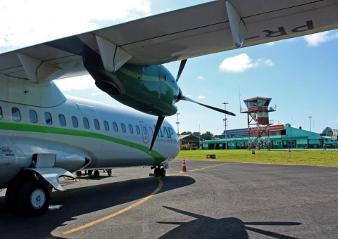 Prefeitura é autorizada pelo IPAAM a retirar castanheira próxima ao aeroporto