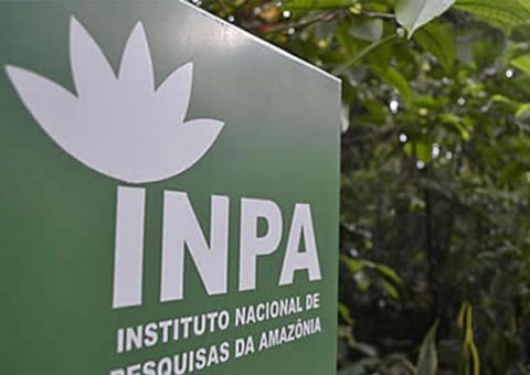 Projeto do Inpa é selecionada para o Programa de Incubação e Aceleração de Impacto