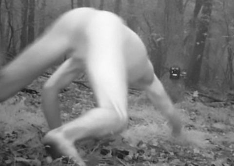 Alucinando, homem corre por floresta nu pensando ser um tigre 