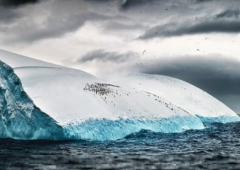Gelo marítimo do tamanho da Índia desaparece após calor recorde