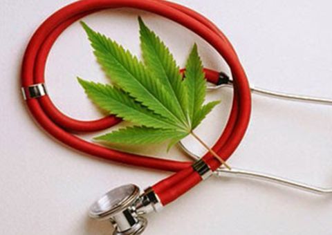  Anvisa libera mais sete produtos com canabidiol