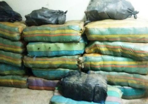  Polícia apreende 600 quilos de drogas em Coari 