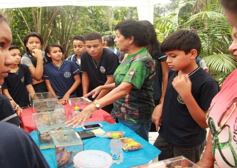 Inpa realiza última edição do ano do projeto de educação ambiental e popularização da ciência