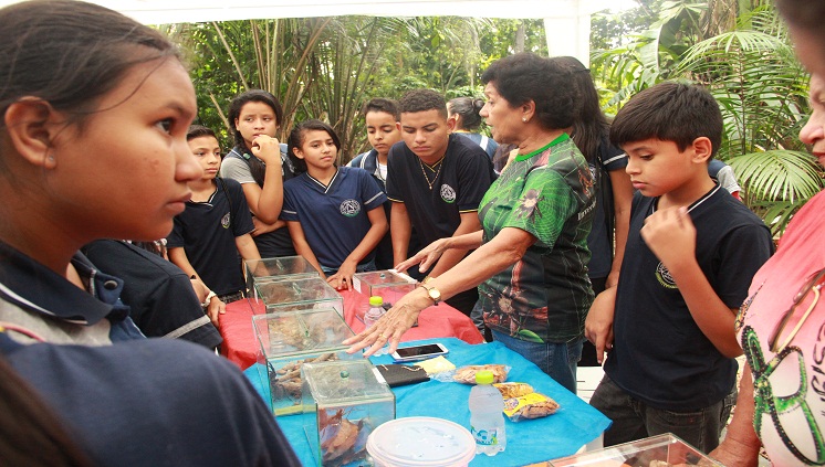 Inpa realiza última edição do ano do projeto de educação ambiental e popularização da ciência