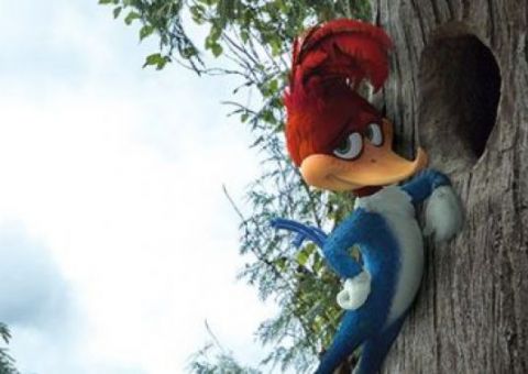 Novo filme do Pica-Pau ganha teaser-trailer