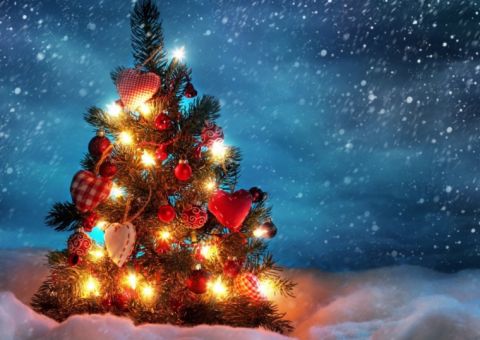 ONG de apoio a pacientes com câncer busca novos colaboradores para o “Natal Solidário 2016”