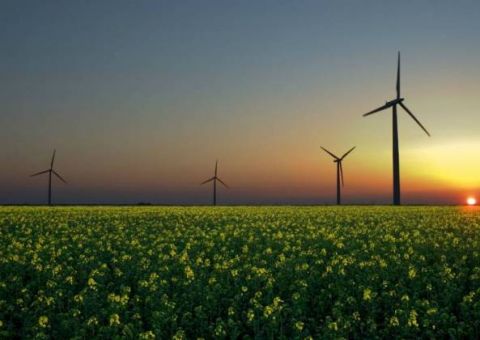 Google diz que funcionará totalmente com energia renovável em 2017