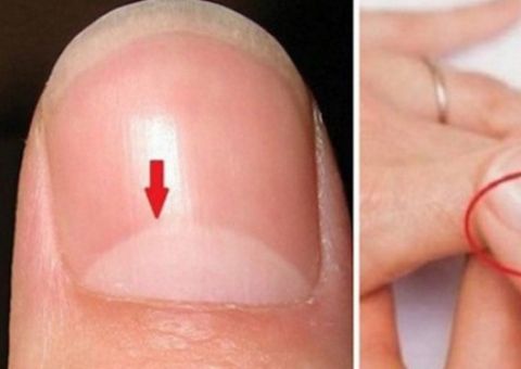 20 Fatos sobre o corpo humano que você vai se surpreender