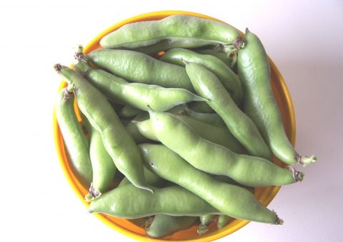 Fava é eficiente para manter o humor e combater a depressão