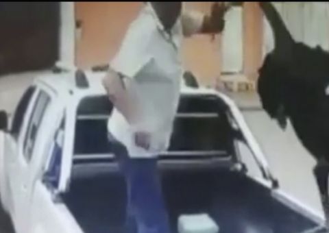 Homem joga cão por cima de portão de ONG