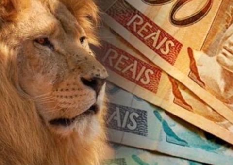 Mais de 8 mil caem na malha fina do IR 2016 no Amazonas