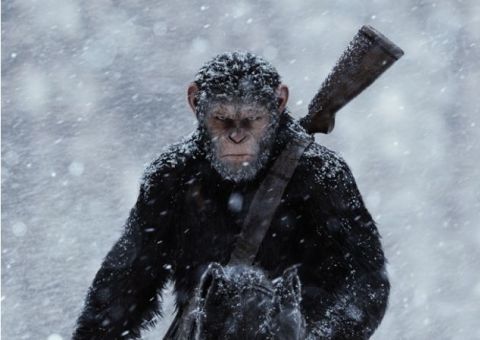 ‘Planeta dos Macacos: A Guerra’ ganha trailer internacional. Confira 