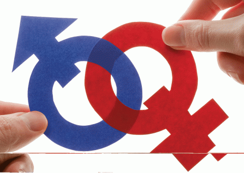 Câmara aprova projeto que proíbe ideologia de gênero nas escolas municipais