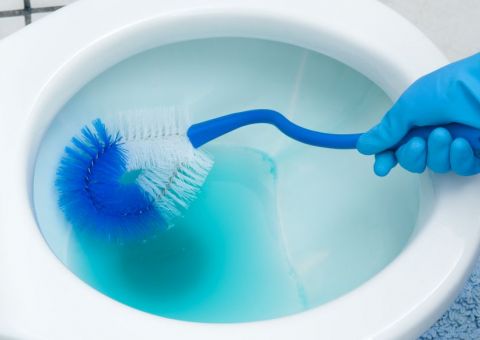  Brasileiro cria privada auto-limpante