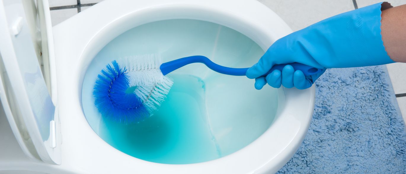  Brasileiro cria privada auto-limpante