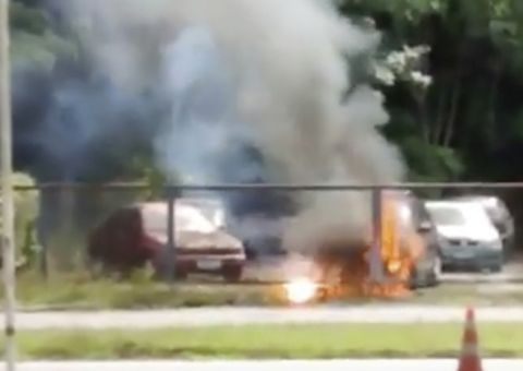 Cabo de energia rompe e provoca pequeno de incêndio na BR-174 