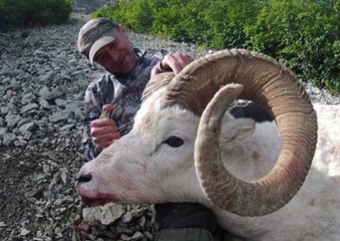 Veterinário criticado por matar animais morre ao cair de penhasco durante caçada 