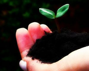 Amazonas, um novo tempo