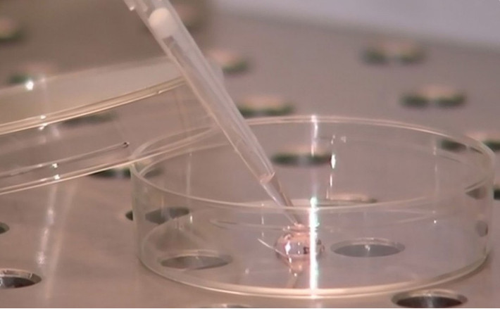 Agência britânica dá aval final para permitir bebês com 'três pais'