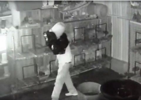 Ladrão usa balde na cabeça para não ser identificado durante assalto