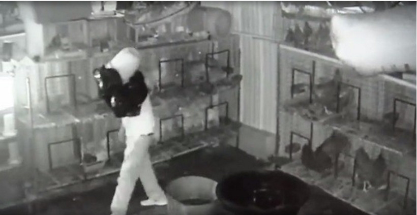 Ladrão usa balde na cabeça para não ser identificado durante assalto