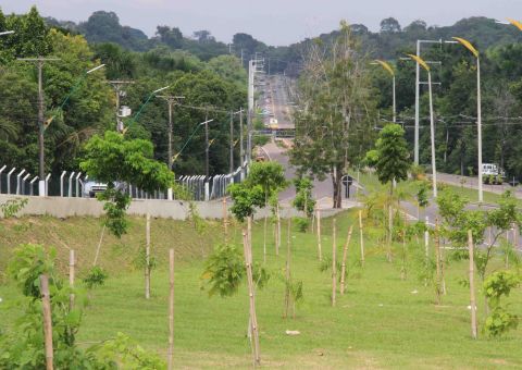 Zona Norte é campeã em número de mudas plantadas pelo Arboriza Manaus