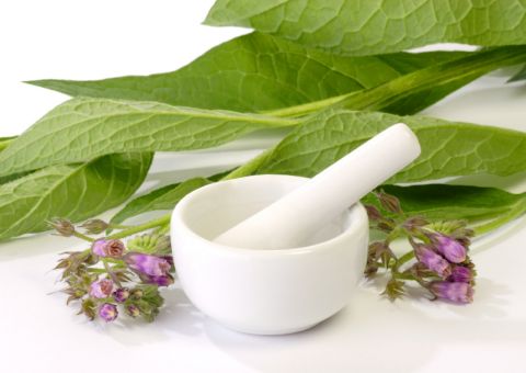 'Confrei' ajuda no reparo de fraturas e doenças na pele