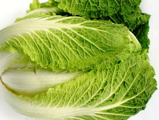 Conheça 8 benefícios da Acelga para a saúde 