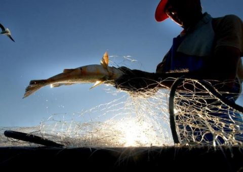 Seminário debate sobre Seguro Defeso e direitos do Pescador Artesanal no Amazonas