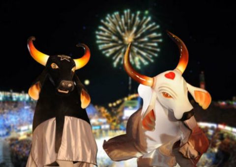 Feira Gastronômica de Garantido e Caprichoso serão atrações da Arena da Amazônia