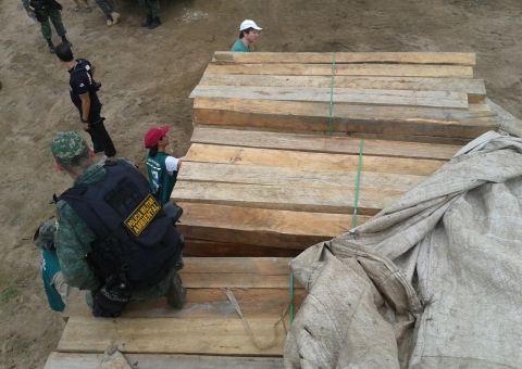 Polícia apreende 200m³ de madeira ilegal no Amazonas