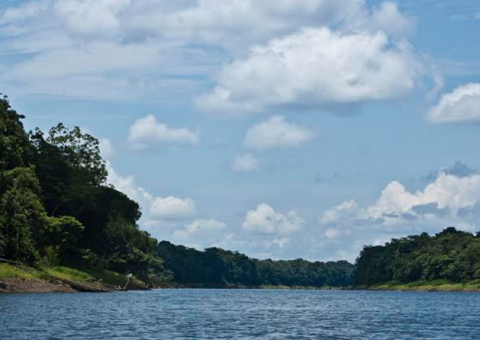 Pesquisadores do Brasil, Austrália e Espanha desenvolvem sistema para monitorar Amazônia