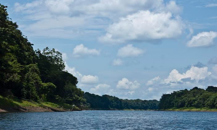 Pesquisadores do Brasil, Austrália e Espanha desenvolvem sistema para monitorar Amazônia