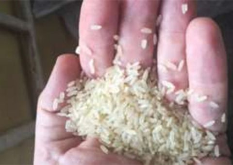 Nigéria confisca mais de duas toneladas de ‘arroz de plástico’