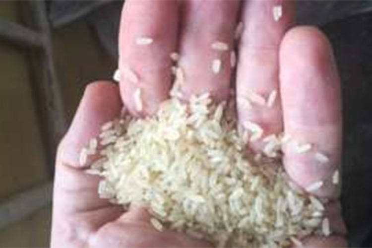 Nigéria confisca mais de duas toneladas de ‘arroz de plástico’
